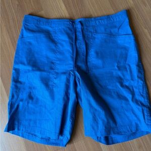 Patagonia Men's Vibrant Blue Flat Front Shorts